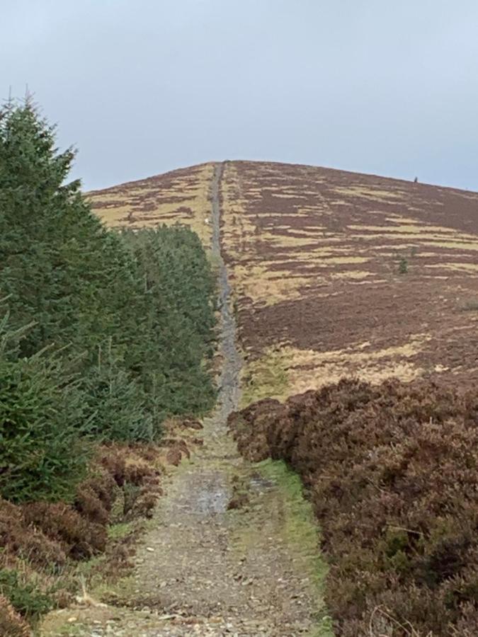 Ballyteige Bridge Ballyteige Lodge المظهر الخارجي الصورة