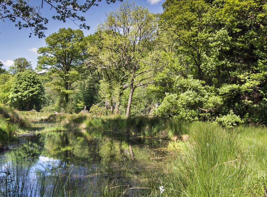 Ballyteige Bridge Ballyteige Lodge المظهر الخارجي الصورة