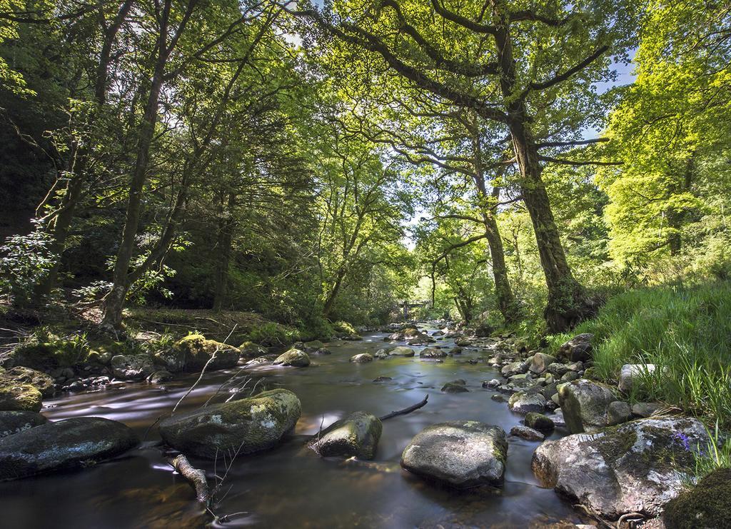 Ballyteige Bridge Ballyteige Lodge المظهر الخارجي الصورة