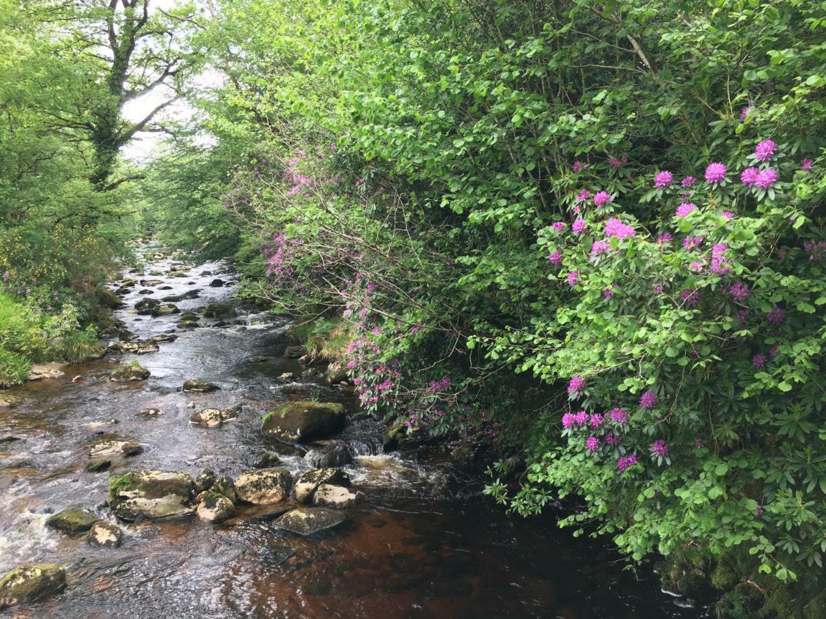 Ballyteige Bridge Ballyteige Lodge المظهر الخارجي الصورة